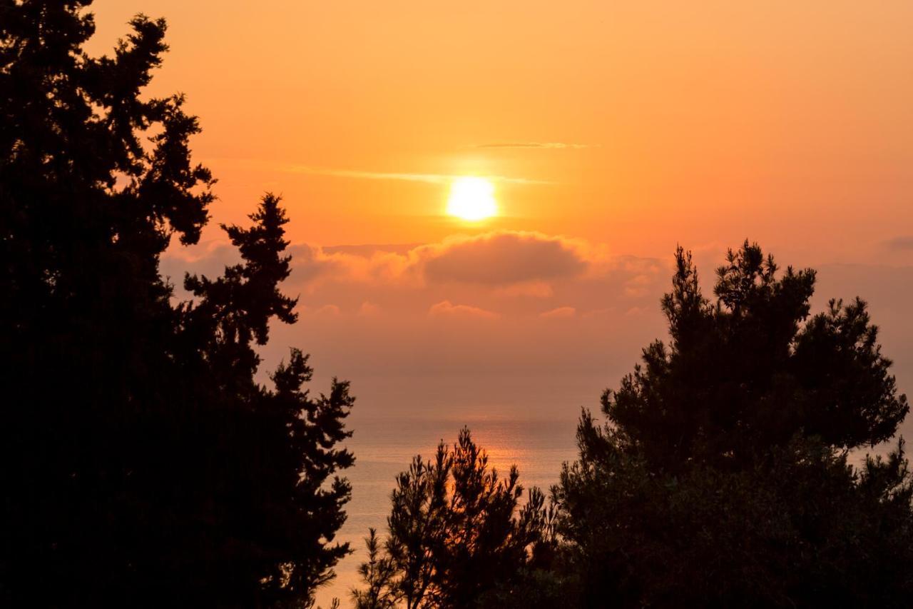 Appartement Niki Sunrise *